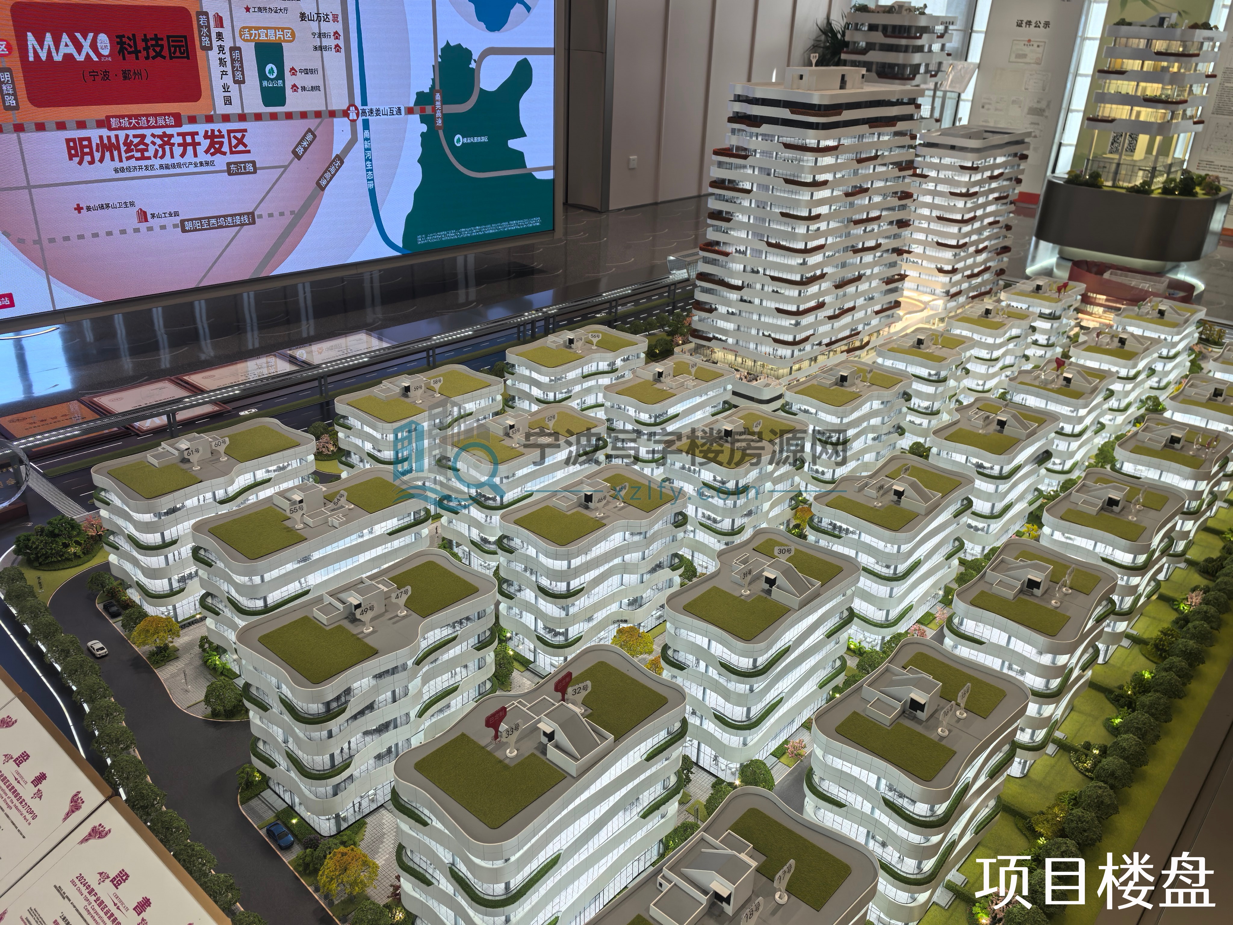 缩略图5